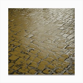 Cobblestones In The Rain Canvas Print