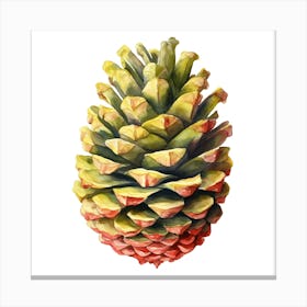 Pineapple Isolated On White Background Canvas Print