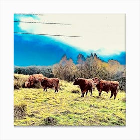 Highland Cows In The Sky Canvas Print