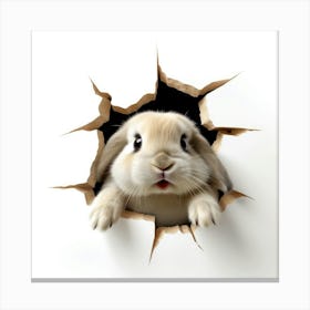 Rabbit Peeking Out Of Hole 1 Canvas Print