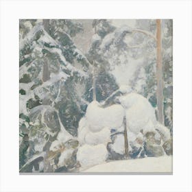 Winter 15 5 Canvas Print