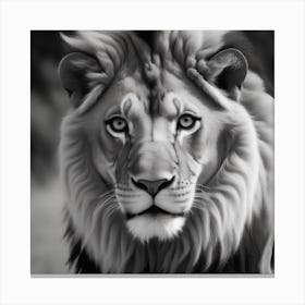 Lion Portrait Canvas Print