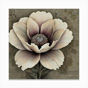 Anemone Canvas Print