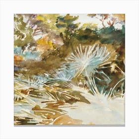 Sand Dunes Canvas Print