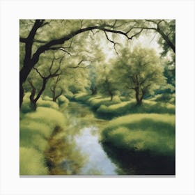 Stream In The Woods Canvas Print