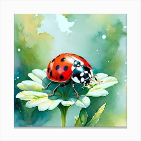 Ladybug On A Flower Canvas Print