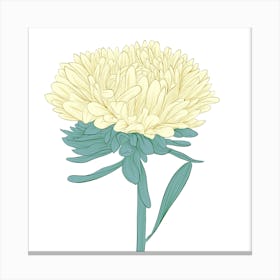 Chrysanthemum WHITE Canvas Print