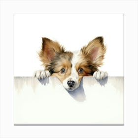 Shetland Sheepdog 3 Canvas Print