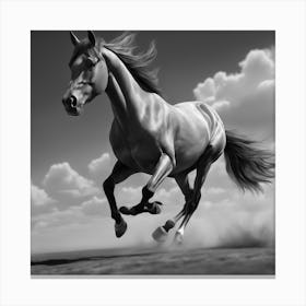 Horse Running In The Wind Canvas Print