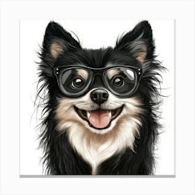 Chihuahua 33 Canvas Print