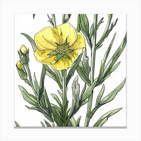 Yellow Poppy Canvas Print