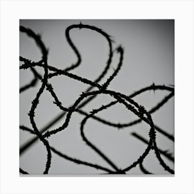 Barbed Wire Canvas Print