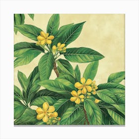 Tropical Flowers Art 15 Canvas Print