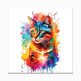 my cat Canvas Print