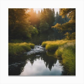 Sunset In The Forest 2 Canvas Print