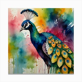 Peacock Painting 1 Canvas Print