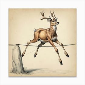 Deer Jumping On Wire Canvas Print