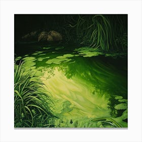 Pond Green and Lonely Canvas Print