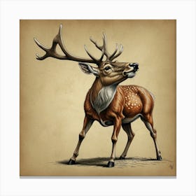 Deer! 6 Canvas Print