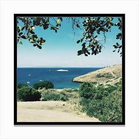 Catalina 03 Canvas Print