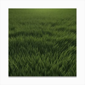 Grass Field 8 Canvas Print