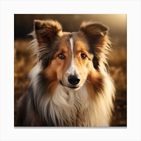 Collie Dog Portrait Canvas Print