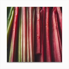 Rhubarb 104 Canvas Print