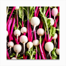 Radish As A Frame (82) Canvas Print