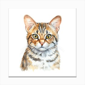 Asian Leopard Cat Portrait 3 Canvas Print