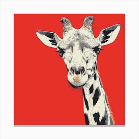 Giraffe Canvas Print Canvas Print