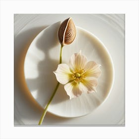 Flower On A Plate Canvas Print