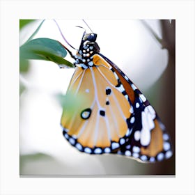 Butterfly On A Leaf Canvas Print