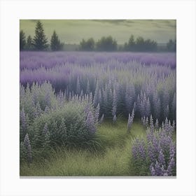 Lavender Field Canvas Print