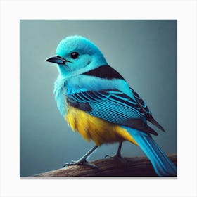 Blue Bird 4 Canvas Print