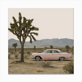 Joshua Tree 1 Canvas Print