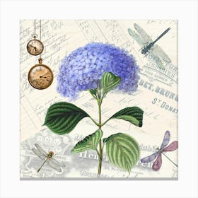 Hydrangea Canvas Print