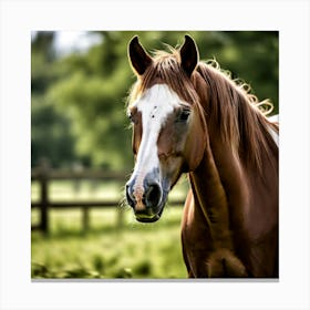 Horse White Black Brown Chestnut Pony Close Up Nose Eye Ear Eat Eating Grass Green Sp (1) Canvas Print