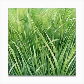 Watercolor Grass Background Canvas Print