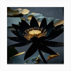 Lotus Flower 1 Canvas Print