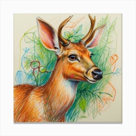 Deer! 55 Canvas Print