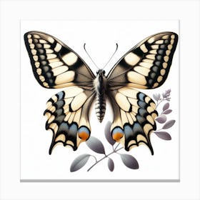 Butterfly of Papilio machaon 2 Canvas Print