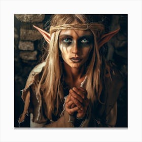 Elven Beauty Canvas Print