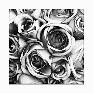 Roses II Canvas Print