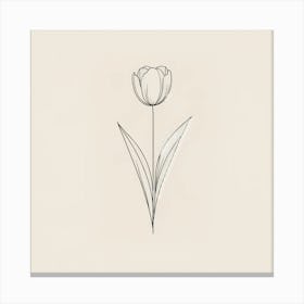 Tulip 1 Canvas Print