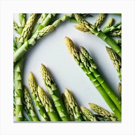 Asparagus In A Circle Canvas Print