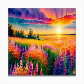 Sunset In The Meadow 2 Canvas Print