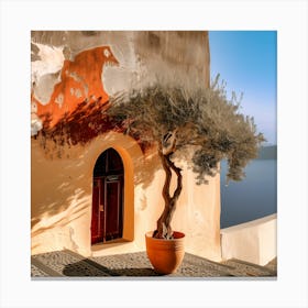 Olive Tree In Late Afternoon (II) Canvas Print