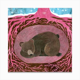 Bear In The Tree Canvas Print