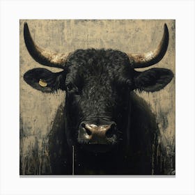 Bull Black Looking at you Canvas Print