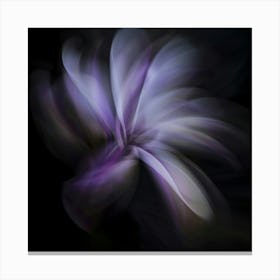 Magnolia 4 Canvas Print